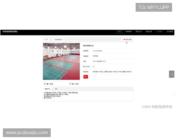 斗球体育官网首页电脑版官方入口详细解析让你快速找到正规登录渠道保障账号安全