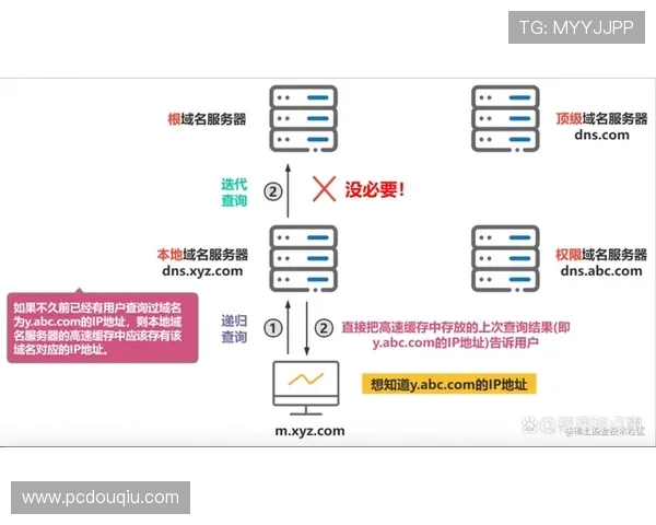 详细步骤解析斗球电脑版官方下载流程，确保每个环节顺利进行