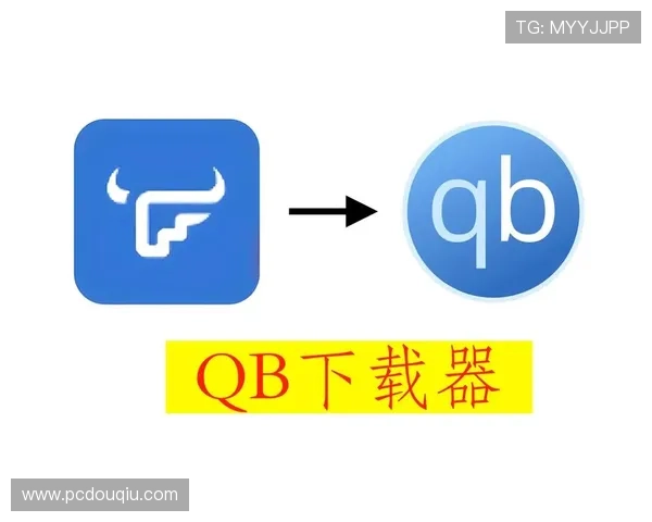 如何快速下载安装dqtv斗球，详细步骤与常见问题解决方案